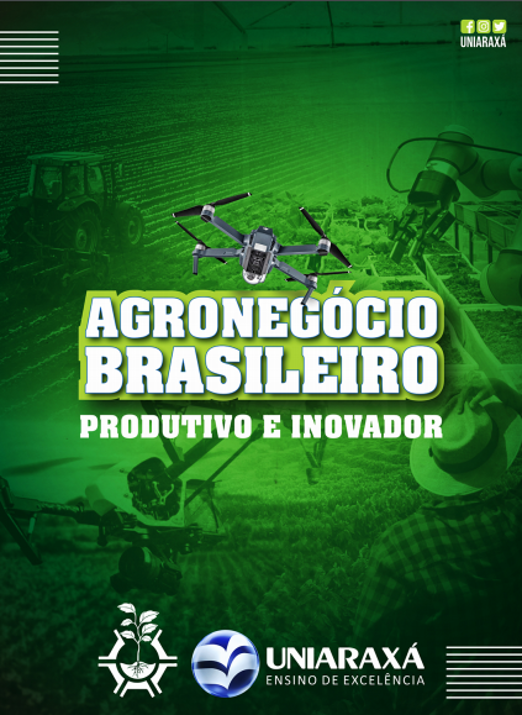  Agronegócio Brasileiro: Produtivo e Inovador